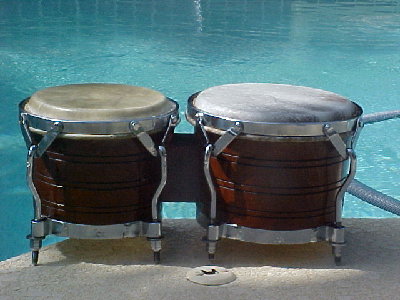 My JCR bongo'.jpg