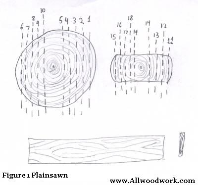 plainsawnsketchfigure1.jpg