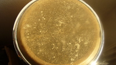 Cuban cow skin.JPG