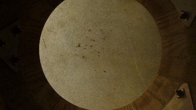 JCR Mule Skin from underneath.JPG