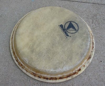 bauerhead02.jpg