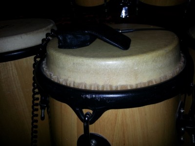 Conga2.jpg (1.73 MiB) Viewed 6465 times Conga2.jpg