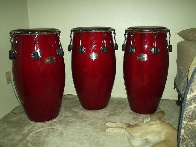 Fat Congas-14.jpg