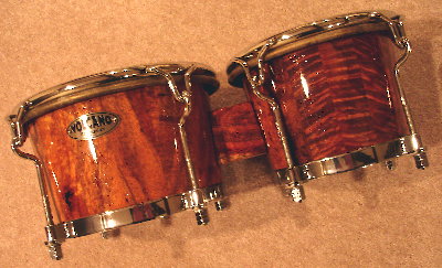 beautiful bongos.jpg