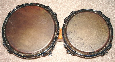 bongo2.jpg