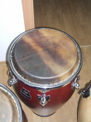 conga1.jpg