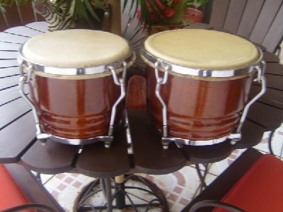 Bongo Cubano Mario 2.jpg
