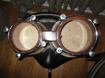 Picture 1289.jpg