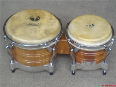 BONGOS 1.jpg