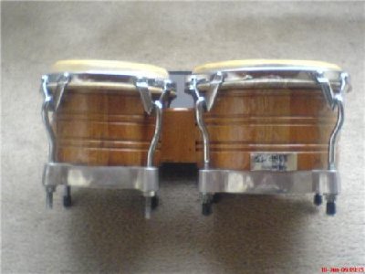 BONGOS 3.jpg