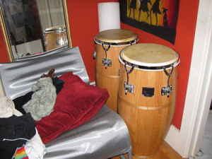 CONGAS.jpg