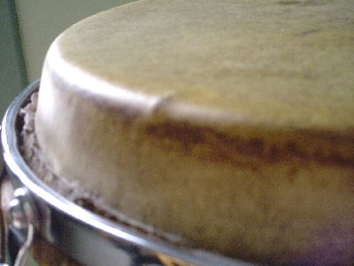 DSC01022.JPG