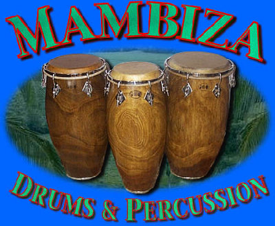 mambiza-website-logo.jpg