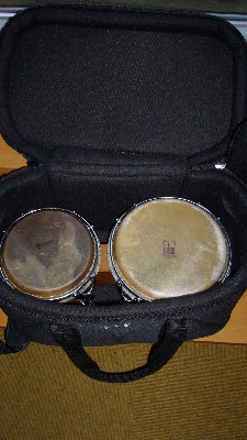 bongo in case.JPG