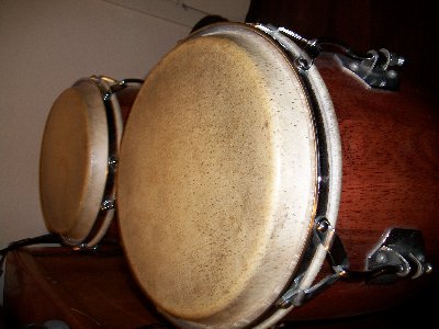 100_0035.jpg