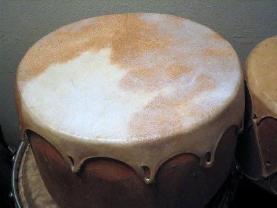 Cow-Unbleached2.JPG