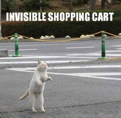 Lolz-catz-animal-humor-8906905-410-399.jpg