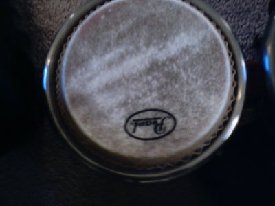 SUNP0025.JPG