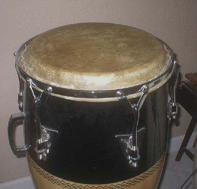 conga crown1.jpg