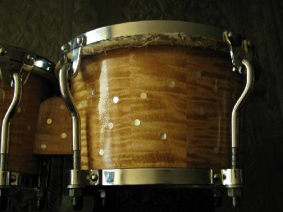 Matt Smith Bongo Hembra 30%.jpg