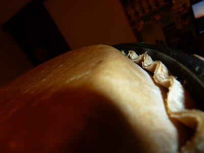 P1020546.JPG