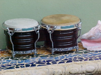 My Junior Tirado bongo.jpg