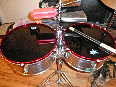 Puente set with Ebony Remo Ambassador heads.JPG