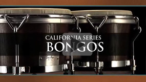 bongo-california.jpg