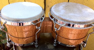 bongos.jpg (543.46 KiB) Viewed 4544 times bongos.jpg