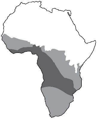 Niger-Congo linguistic groups.jpg