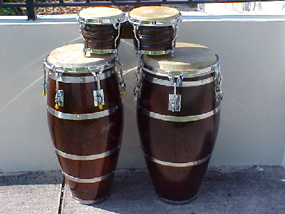 JUNIOR conga y bongo.jpg