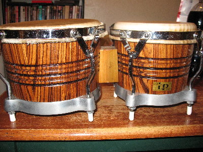 LP ZEBRA WOOD 2.JPG