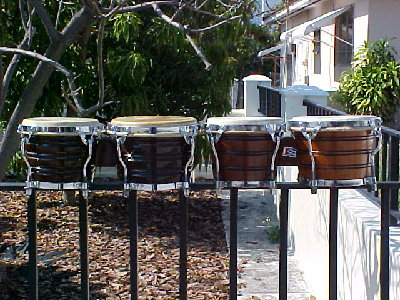 2 Pairs Junior Bongos.JPG