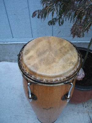 DSCF2624.JPG