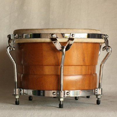 BONGO 2.jpg