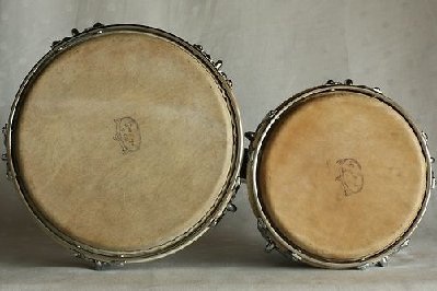 BONGO 3.jpg