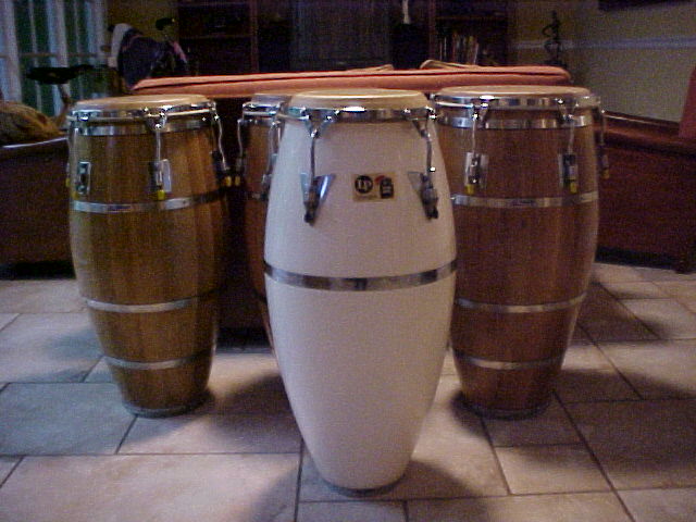 Lp 2024 patato conga