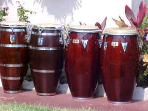 Junior sale tirado congas