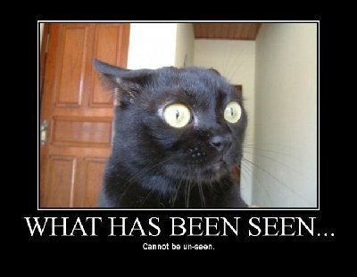 what_has_been_seen.jpg (21.09 KiB) Viewed 25042 times what_has_been_seen.jpg